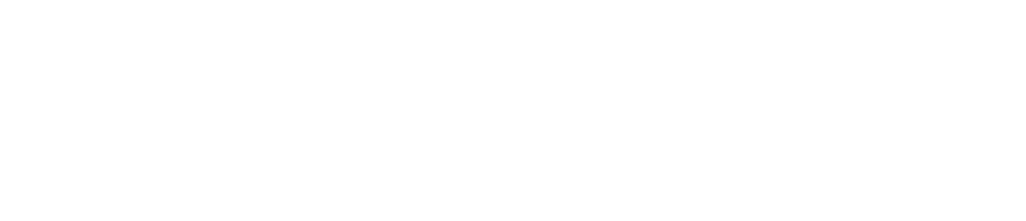 Zephyrvisa